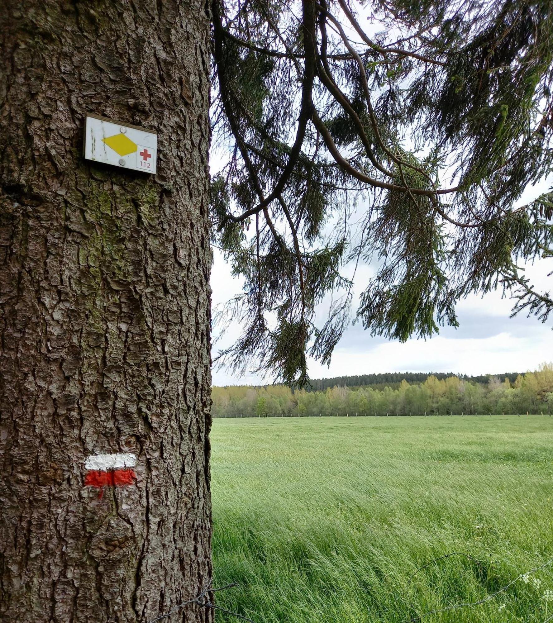 Vila Gite Citadin 3 Epis "Carpe Diem" Bastogne Pokoj fotografie